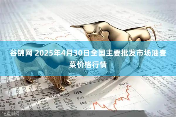 谷锦网 2025年4月30日全国主要批发市场油麦菜价格行情