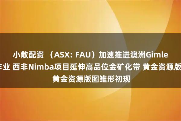 小散配资 （ASX: FAU）加速推进澳洲Gimlet金矿钻探作业 西非Nimba项目延伸高品位金矿化带 黄金资源版图雏形初现