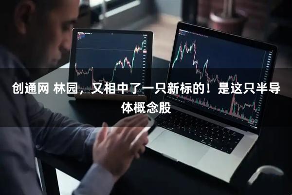 创通网 林园，又相中了一只新标的！是这只半导体概念股