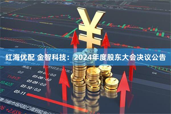 红海优配 金智科技：2024年度股东大会决议公告